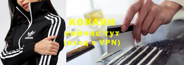 ПСИЛОЦИБИНОВЫЕ ГРИБЫ Заводоуковск